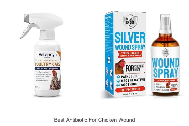 Discover the Best Antibiotic for Chicken Wounds!