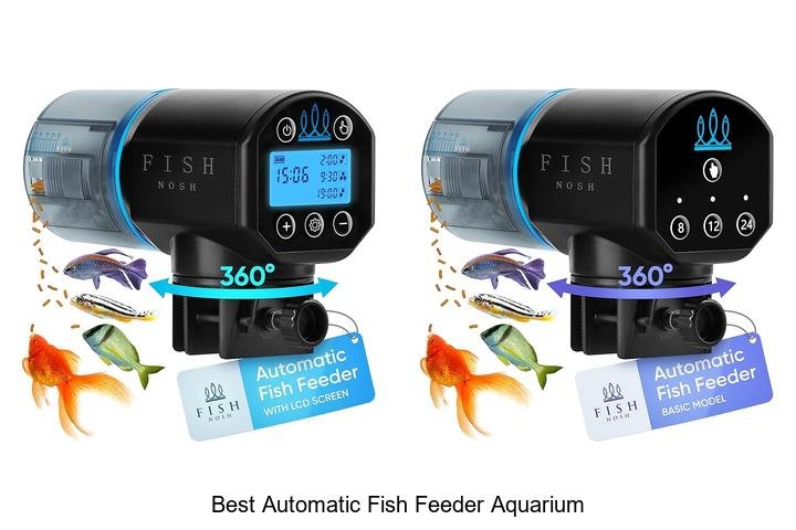 Top Automatic Fish Feeder for Aquariums!
