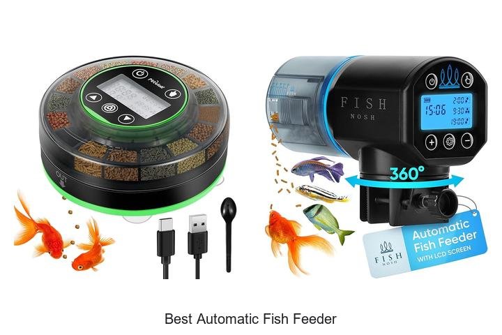 Discover the Best Automatic Fish Feeder Today!