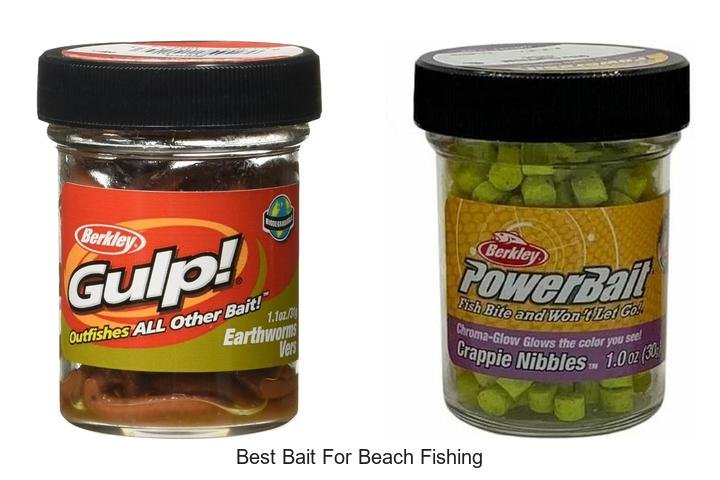 Discover the Best Bait for Unbelievable Beach Fishing!