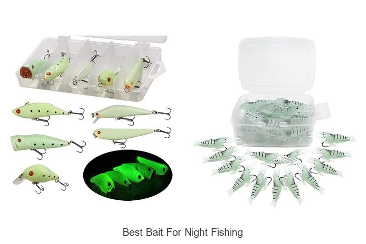 Top-Rated Bait Revealed: Catch More at Night!