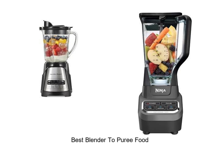 Ultimate Guide: Best Blender to Puree Food Effortlessly