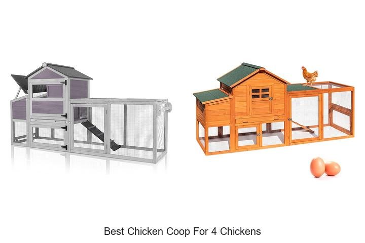 Discover the Best Chicken Coop for 4 Chickens Now!