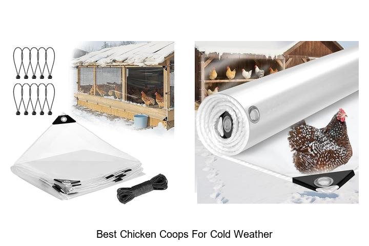 Top Chicken Coops for Cold Weather Success!
