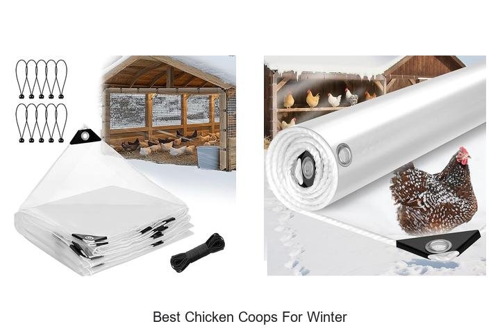 Top 7 Best Winter Chicken Coops You Need Now!