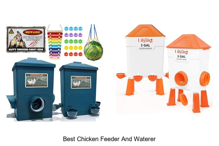Ultimate Guide to Best Chicken Feeder and Waterer!