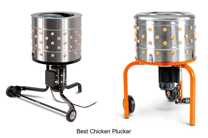 Ultimate Guide to the Best Chicken Plucker!