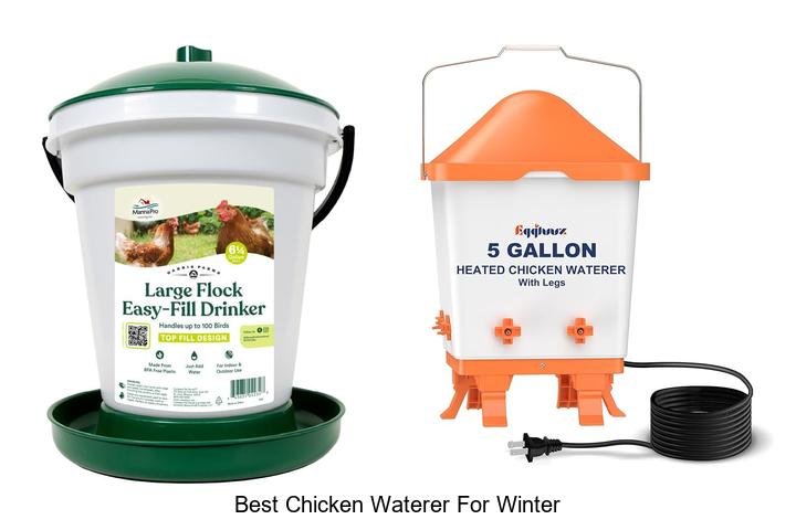 Discover the Best Chicken Waterer for Winter Now!
