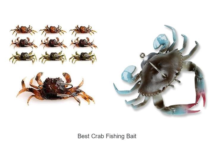 Discover the Secret to the Best Crab Fishing Bait!