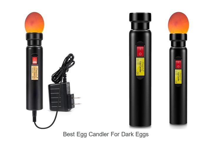 Discover the Best Egg Candler for Dark Eggs Now!