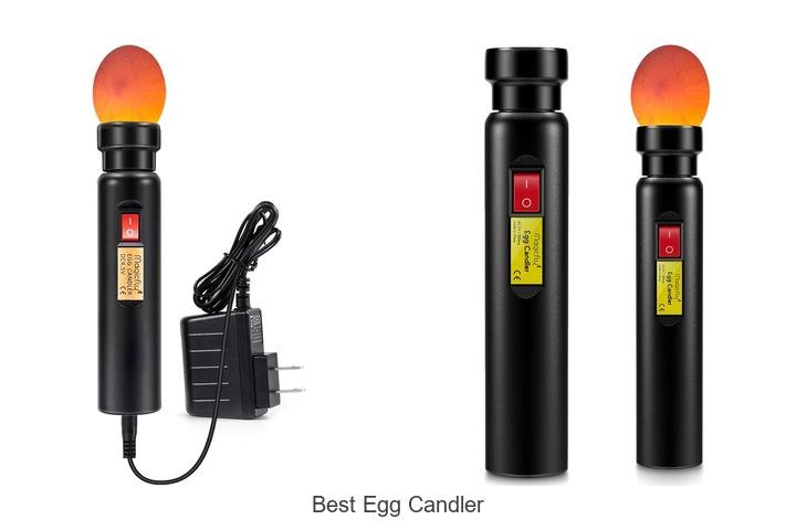 Discover the Best Egg Candler for Perfect Hatching!