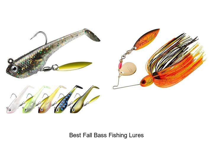 Top 5 Best Fall Bass Fishing Lures Revealed!
