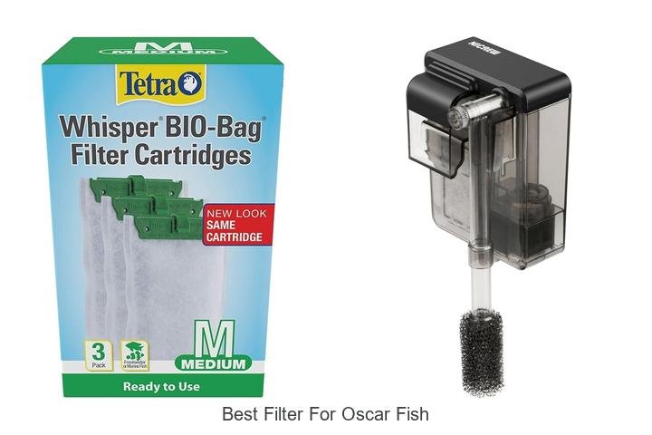 Ultimate Guide to the Best Filter for Oscar Fish