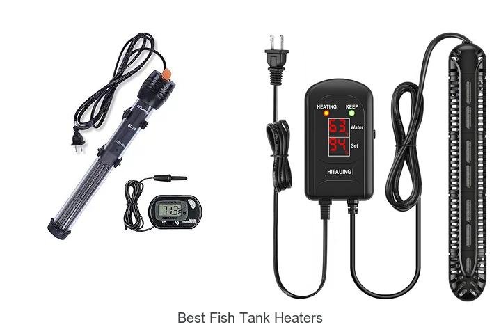 Top 7 Best Fish Tank Heaters You Must See!