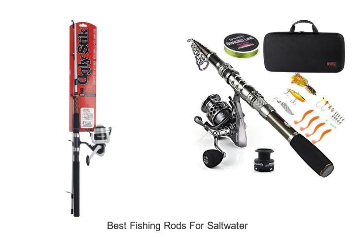 Top Picks: Best Fishing Rods for Saltwater Adventures