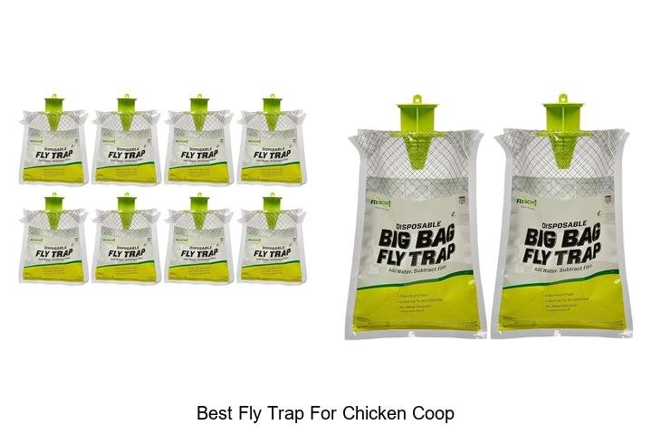 Ultimate Guide: Best Fly Trap for Chicken Coop!