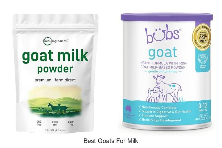 Discover the Best Goats for Milk You Need Now!