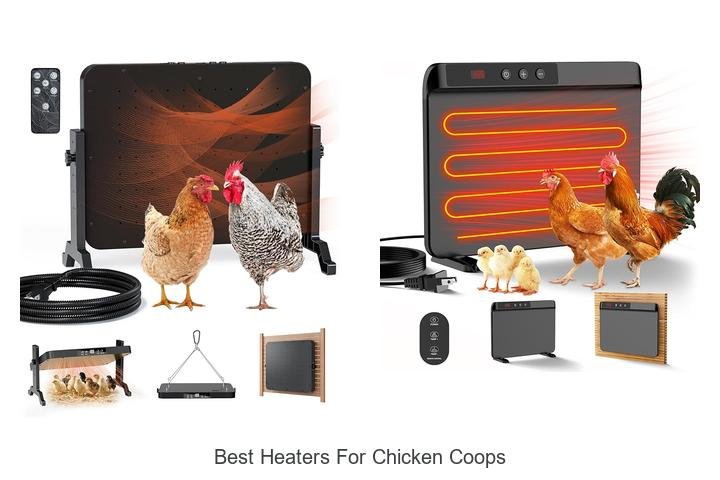 Ultimate Guide: Best Heaters for Chicken Coops
