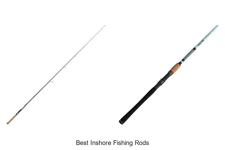 Top 5 Best Inshore Fishing Rods for Big Catches
