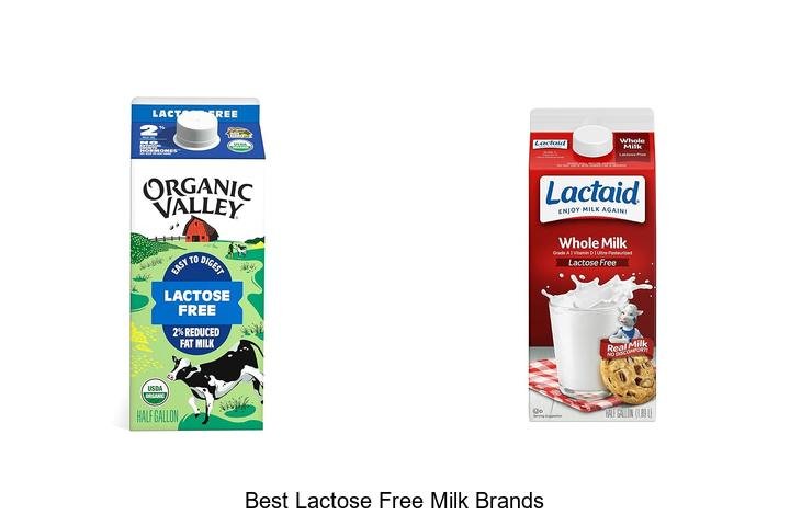 Top 7 Best Lactose Free Milk Brands Revealed!