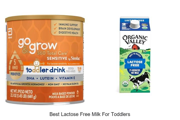 Top Picks: Best Lactose Free Milk for Toddlers