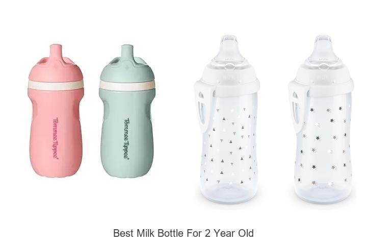 Top Picks: Best Milk Bottle for 2 Year Olds
