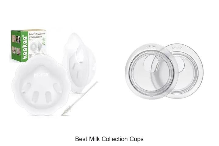 Top 7 Best Milk Collection Cups for Every Mom