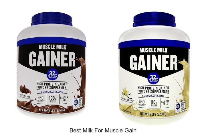 Discover the Best Milk for Muscle Gain Transformation