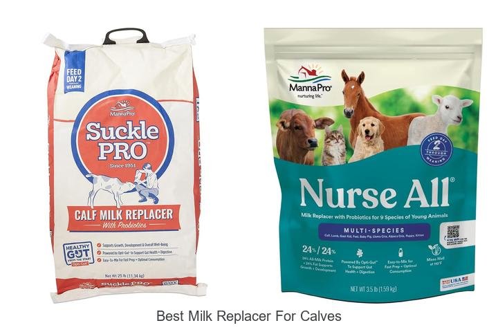 Top Pick: Best Milk Replacer for Calves Revealed!