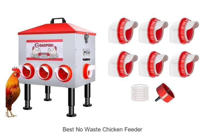 Discover the Best No Waste Chicken Feeder Now!