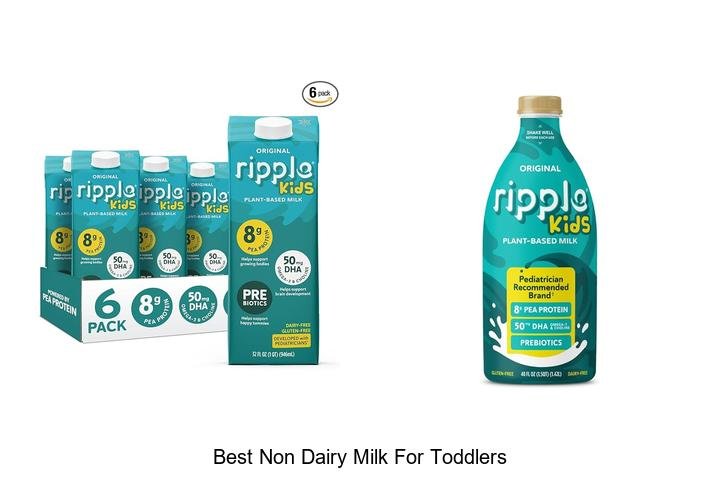Top Picks: Best Non Dairy Milk for Toddlers