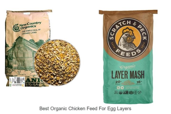 Top Organic Chicken Feed for Abundant Egg Layers