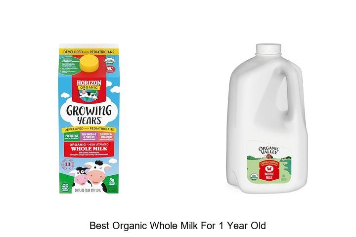 Best Organic Whole Milk for 1-Year-Old: Top Picks!
