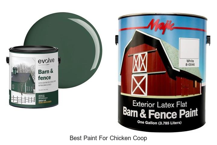 Top Picks: Best Paint for Chicken Coop Transformation