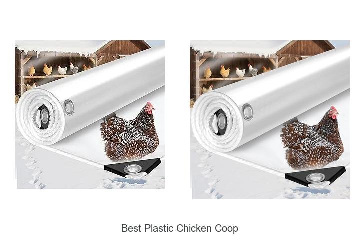 Top Choice for Poultry: Best Plastic Chicken Coop