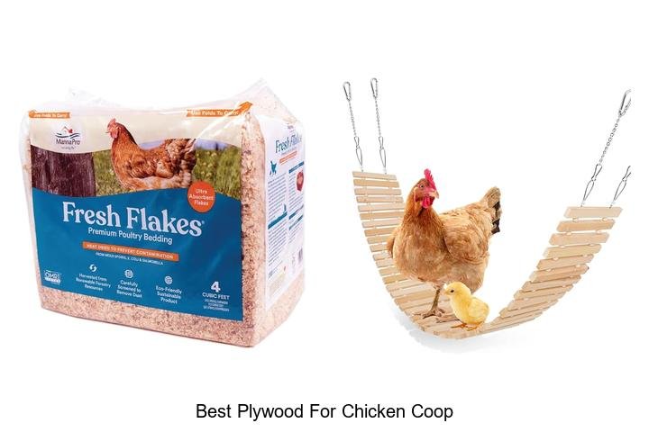 Top Picks: Best Plywood for Chicken Coop Builds