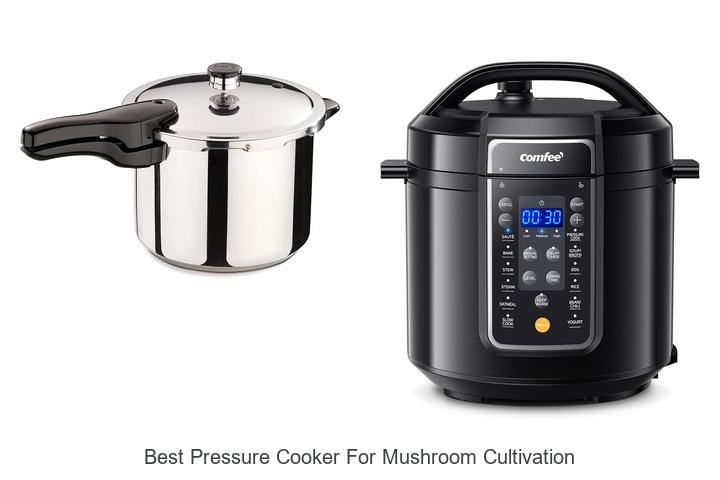 Top Pressure Cookers for Mushroom Cultivation Success