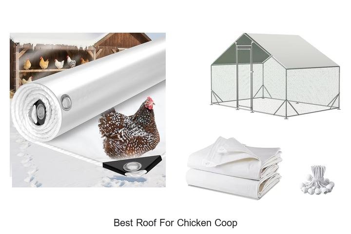 Discover the Best Roof for Chicken Coop Success!