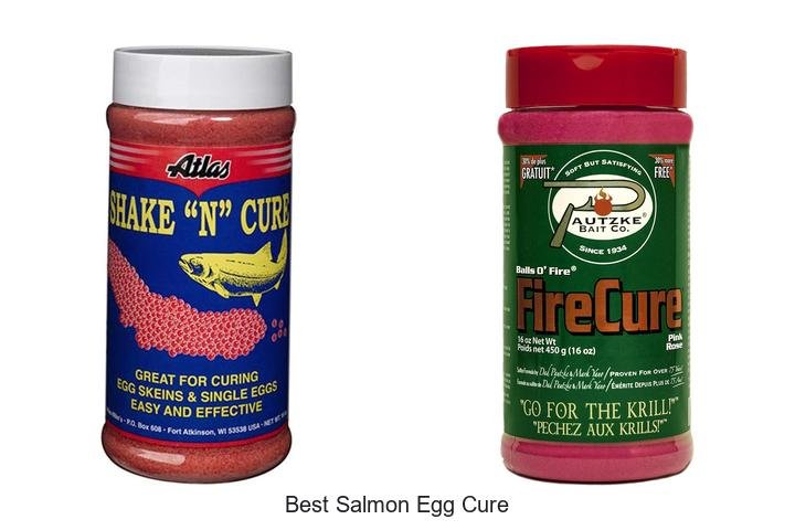 Unlock the Best Salmon Egg Cure Secrets Now!