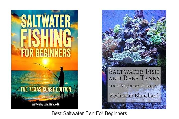 Top 10 Best Saltwater Fish for Beginners Unveiled!