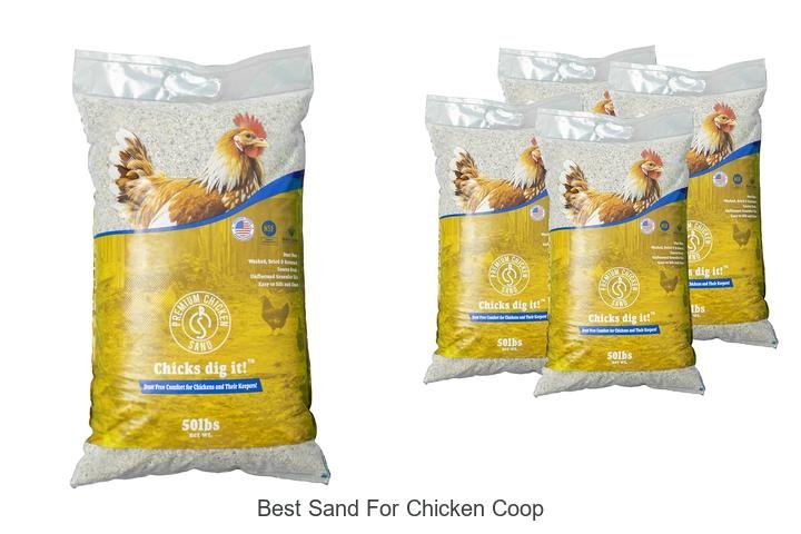 Discover the Best Sand for Chicken Coop Comfort!