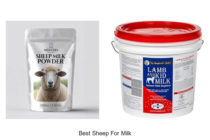 Discover the Best Sheep for Milk: Top Picks Revealed!