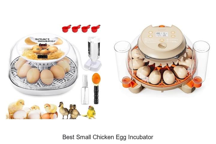 Top Picks for the Best Small Chicken Egg Incubator!