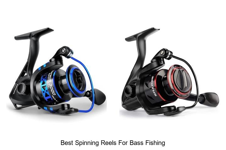 Ultimate Guide: Best Spinning Reels for Bass Fishing