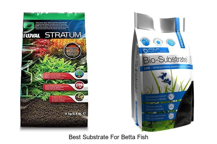 “Discover the Best Substrate for Betta Fish Today!