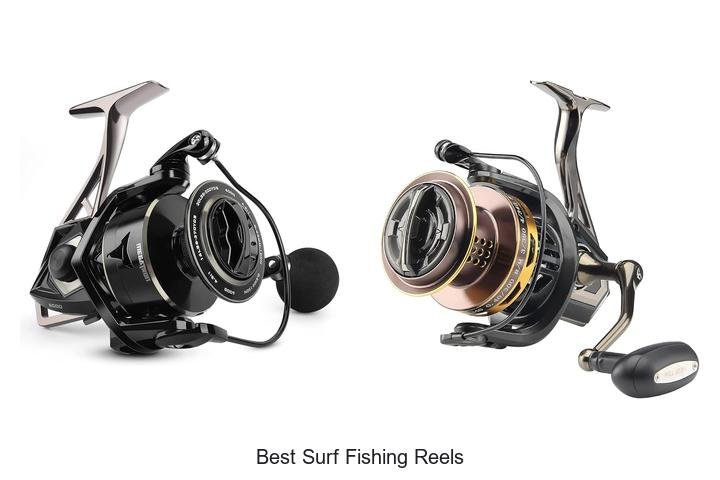 Uncover the Best Surf Fishing Reels for Success