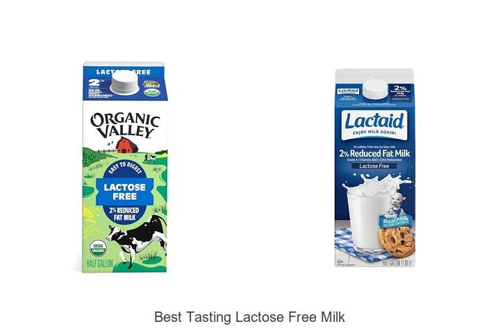 Discover the Best Tasting Lactose Free Milk Now!