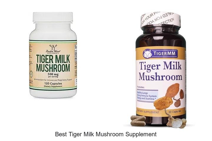 Ultimate Best Tiger Milk Mushroom Supplement Guide