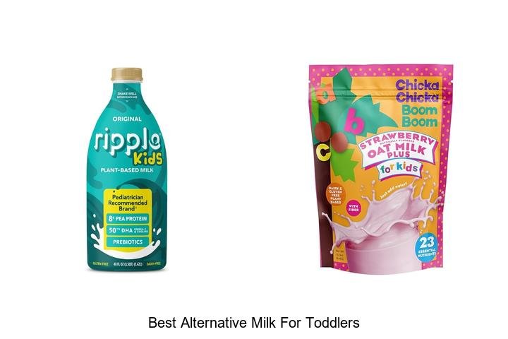 Ultimate Guide to the Best Alternative Milk for Toddlers