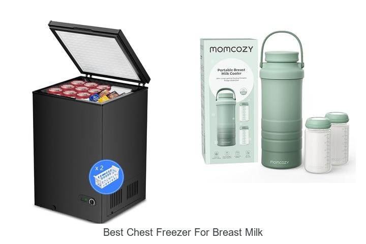 Top Chest Freezers for Storing Breast Milk Safely